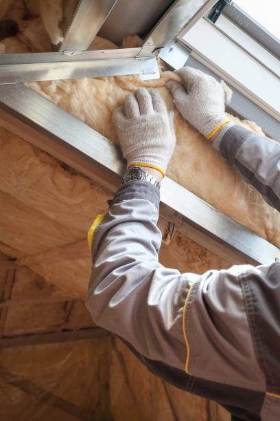 Best Insulation Installation Services in Kempner, TX