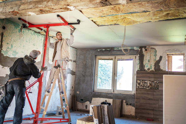 Best Insulation Maintenance and Repair in Kempner, TX